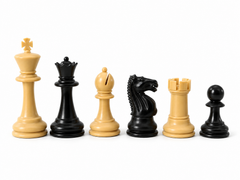 Six chess pieces arranged in descending size order on a clean white background. The set includes a large light beige king, a black queen, a light beige bishop, a black knight, a light beige rook, and a black pawn.